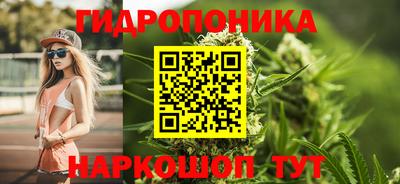 дживик Шебекино